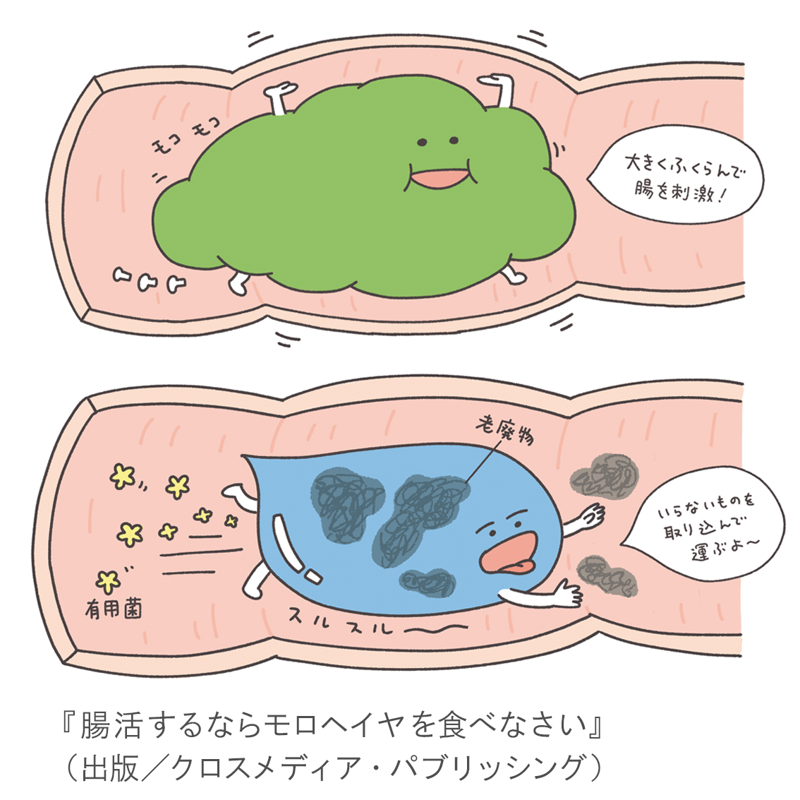 『腸活するならモロヘイヤを食べなさい』挿画イラスト